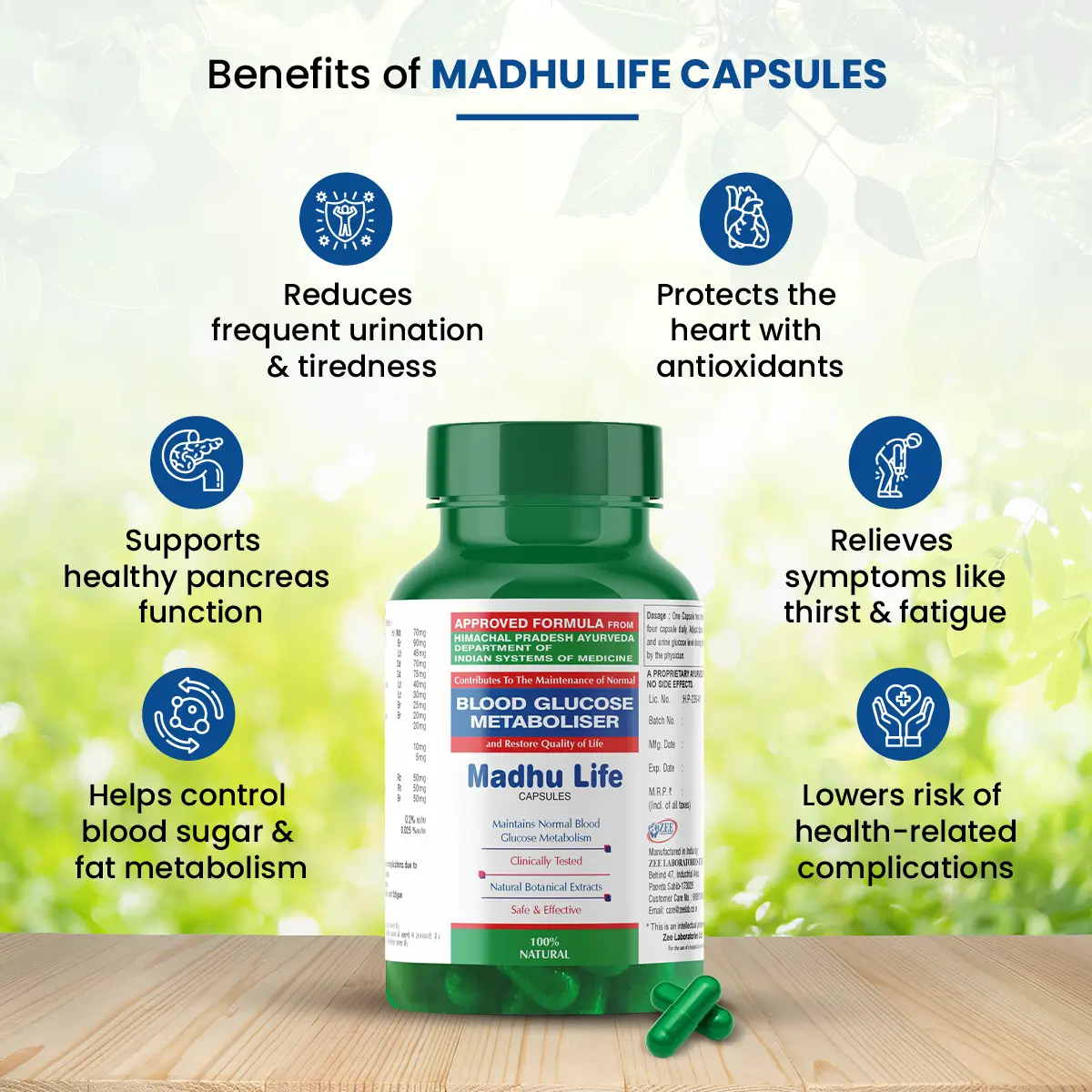 NatureXprt Madhu Life Capsules | 100% Natural Ayurvedic Medicine For Diabetes